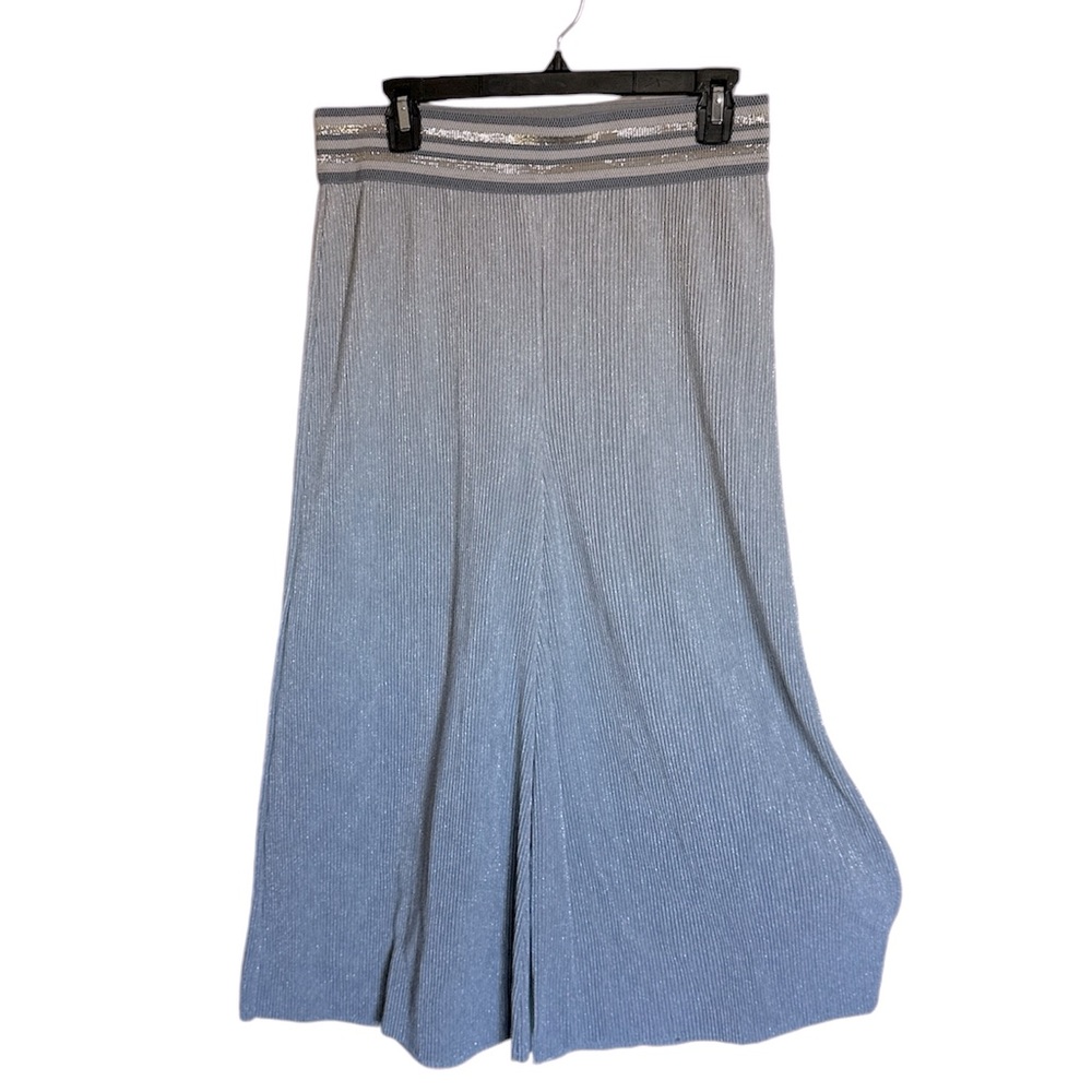 Anthropologie Ett:twa Crepuscule Metallic Silver Wide Leg Cropped Pants Plisse M